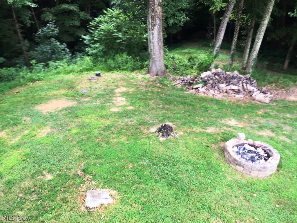 1765 Mt Tom Road Marietta, OH 45750 - Photo 5 of 26 Back Yard and Burn Pit Area