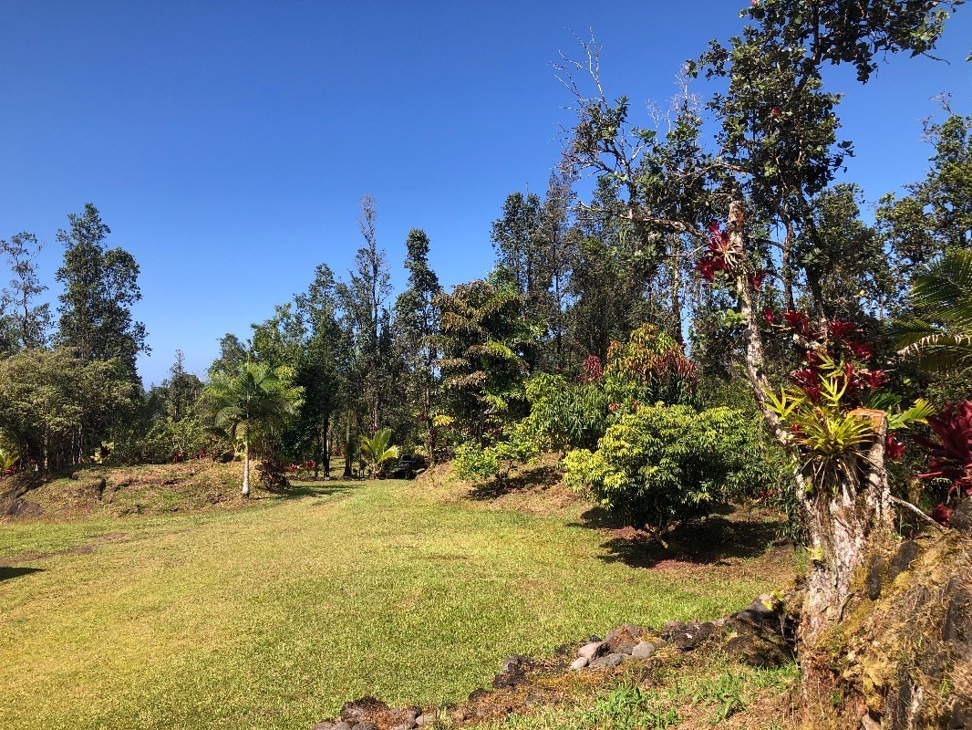 16-1568 38th Avenue Keaau, HI 96749 - Photo 24 of 30 a view of a yard with a tree