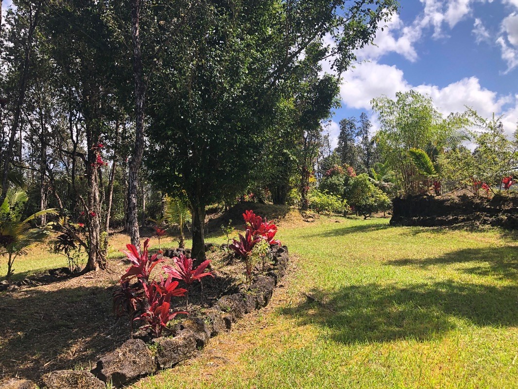 16-1568 38th Avenue Keaau, HI 96749 - Photo 27 of 30 a view of a lake with a tree