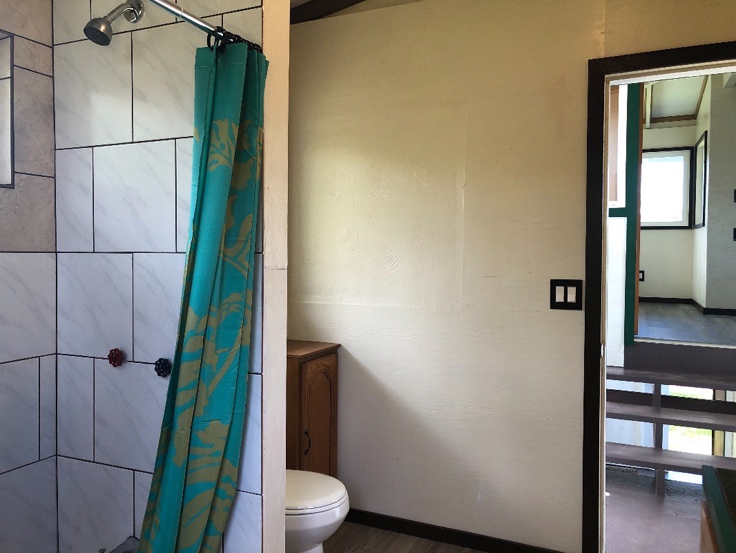 16-1568 38th Avenue Keaau, HI 96749 - Photo 9 of 30 a bathroom with a toilet and a shower