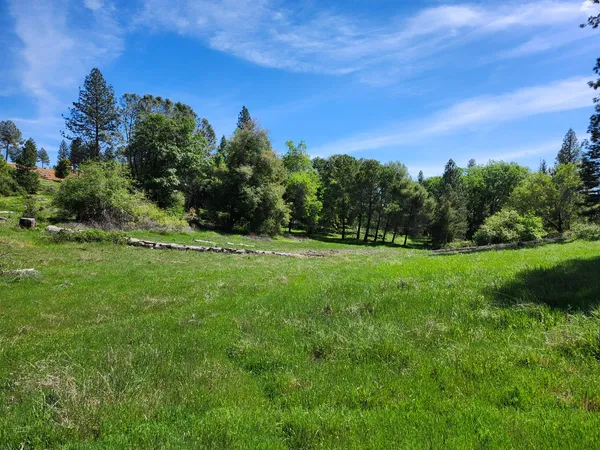 a view of a green field with clear sky