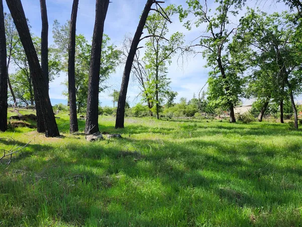 a view of grassy field with benches