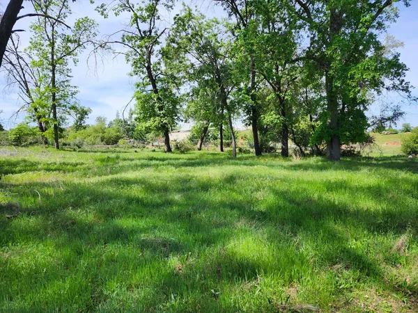 a view of a grassy field with trees