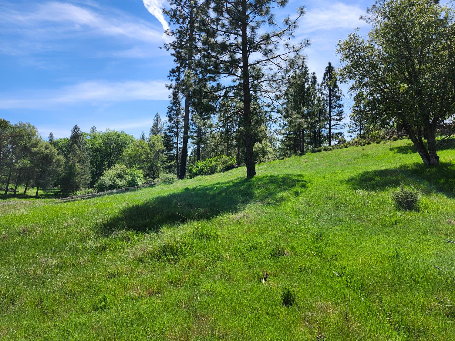 10006 Wendell Road Mountain Ranch, CA 95246 - Photo 10 of 24