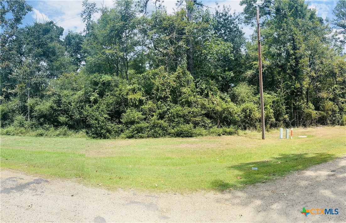 Tbd Mistletoe Road Onalaska, TX 77360 - Photo 2 of 8