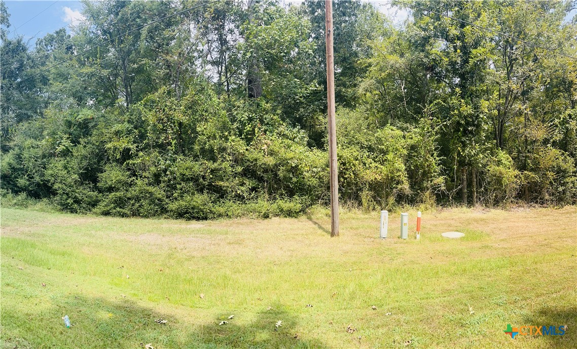 Tbd Mistletoe Road Onalaska, TX 77360 - Photo 2 of 7