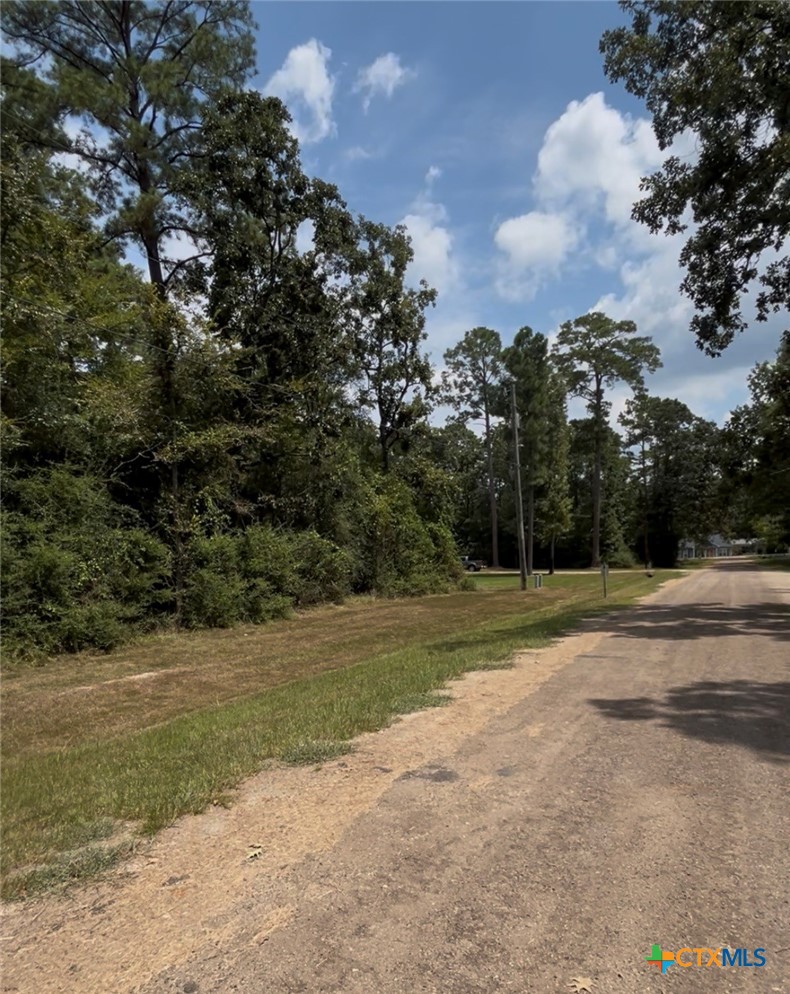 Tbd Mistletoe Road Onalaska, TX 77360 - Photo 4 of 8 a view of a field