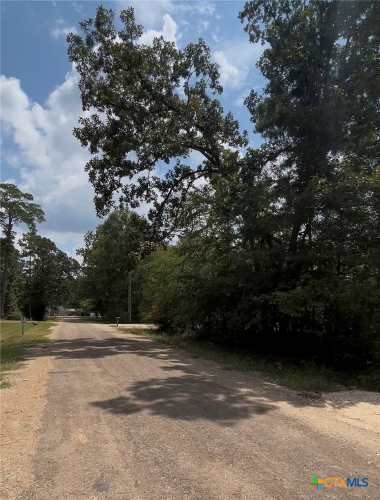 Tbd Mistletoe Road Onalaska, TX 77360 - Photo 5 of 8 a view of outdoor space and yard
