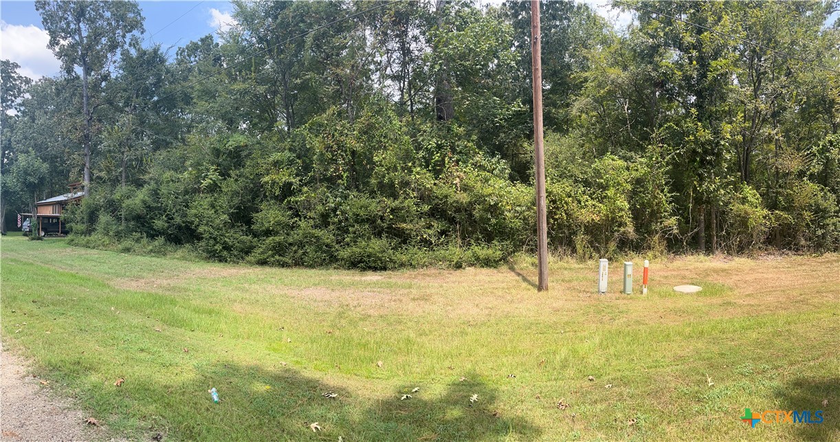 Tbd Mistletoe Road Onalaska, TX 77360 - Photo 6 of 7