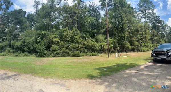 $10,000 | Tbd Mistletoe Road, Onalaska, TX 77360