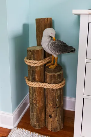 a close view of stove