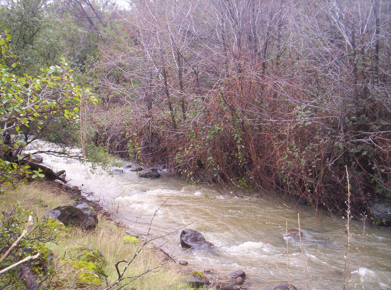 Lot 19 Lack Creek Road Shingletown, CA 96088 - Photo 1 of 5 LACK CREEK