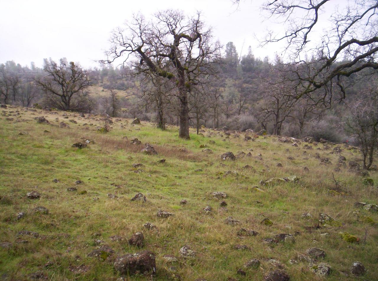 Lot 19 Lack Creek Road Shingletown, CA 96088 - Photo 4 of 5 NICE BUIDING SPOT