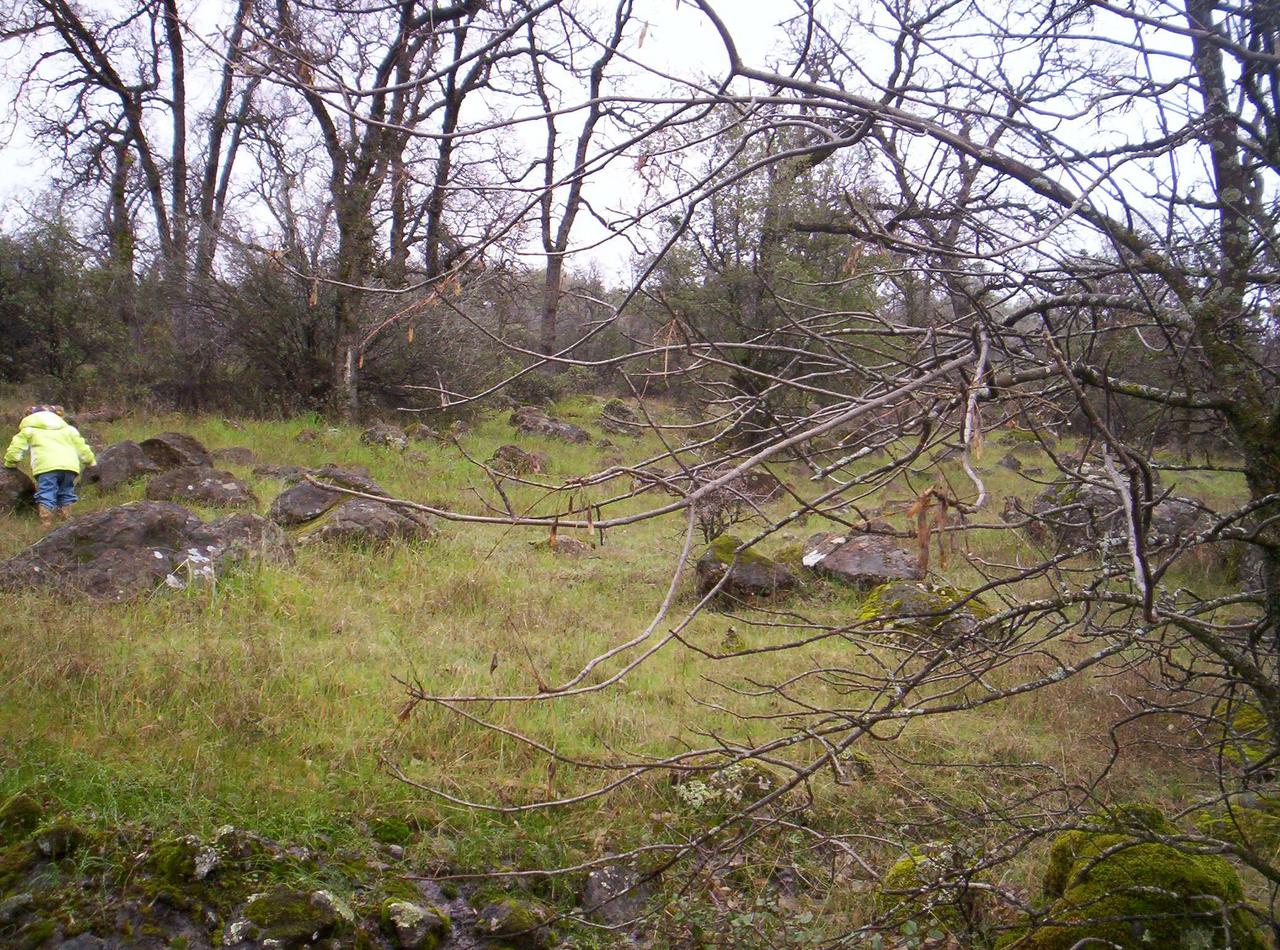 Lot 19 Lack Creek Road Shingletown, CA 96088 - Photo 5 of 5 LOOKING UP FROM CREEK