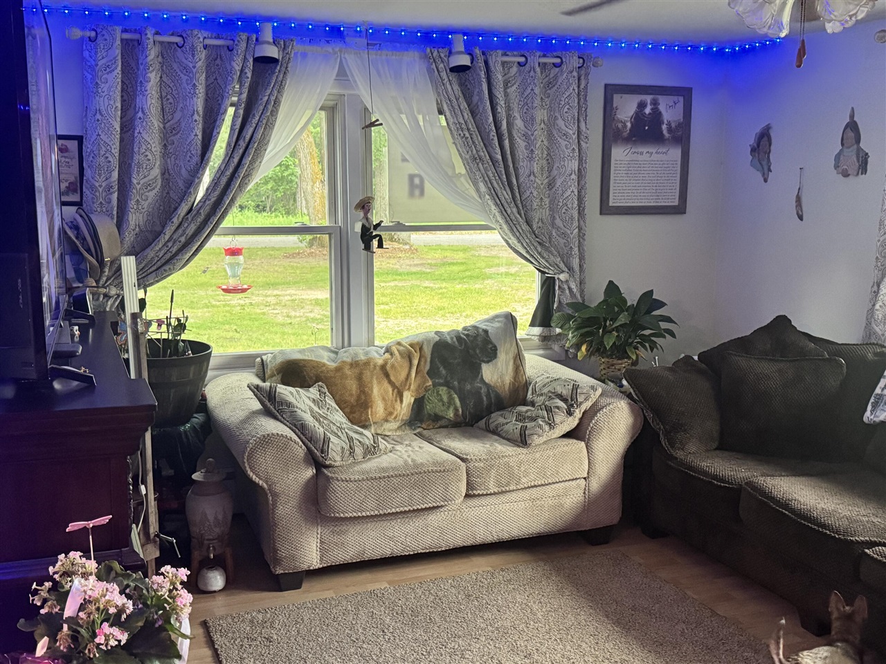19030 West Almy Road Howard City, MI 49329 - Photo 10 of 33