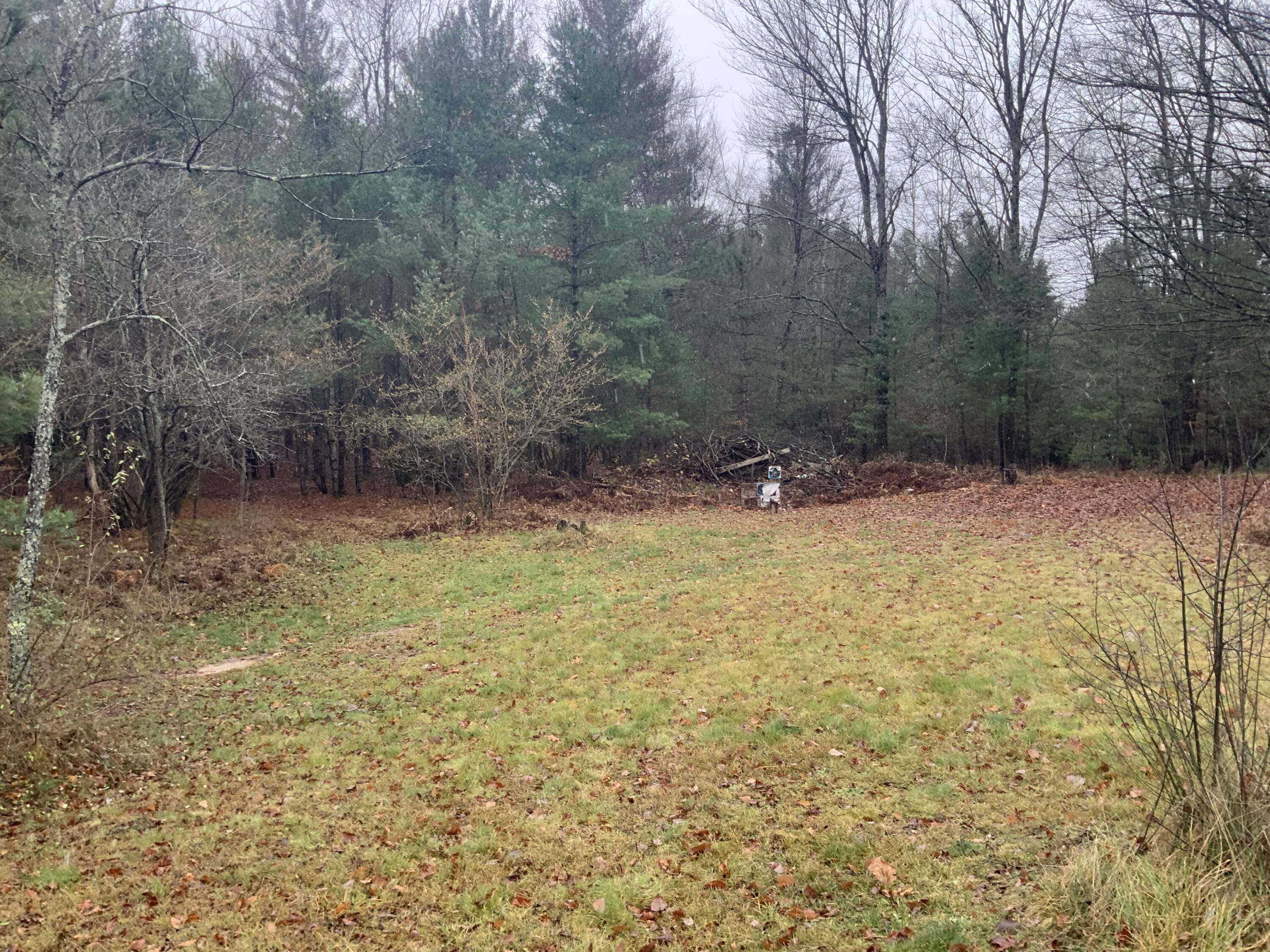 8387 East 7 Mile Road Luther, MI 49656 - Photo 25 of 49 IMG_2465