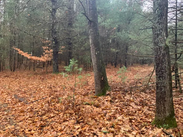 $127,900 | 8387 East 7 Mile Road, Luther, MI 49656