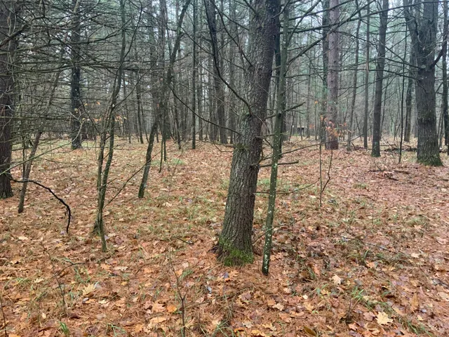 $127,900 | 8387 East 7 Mile Road, Luther, MI 49656