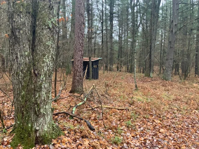 $127,900 | 8387 East 7 Mile Road, Luther, MI 49656