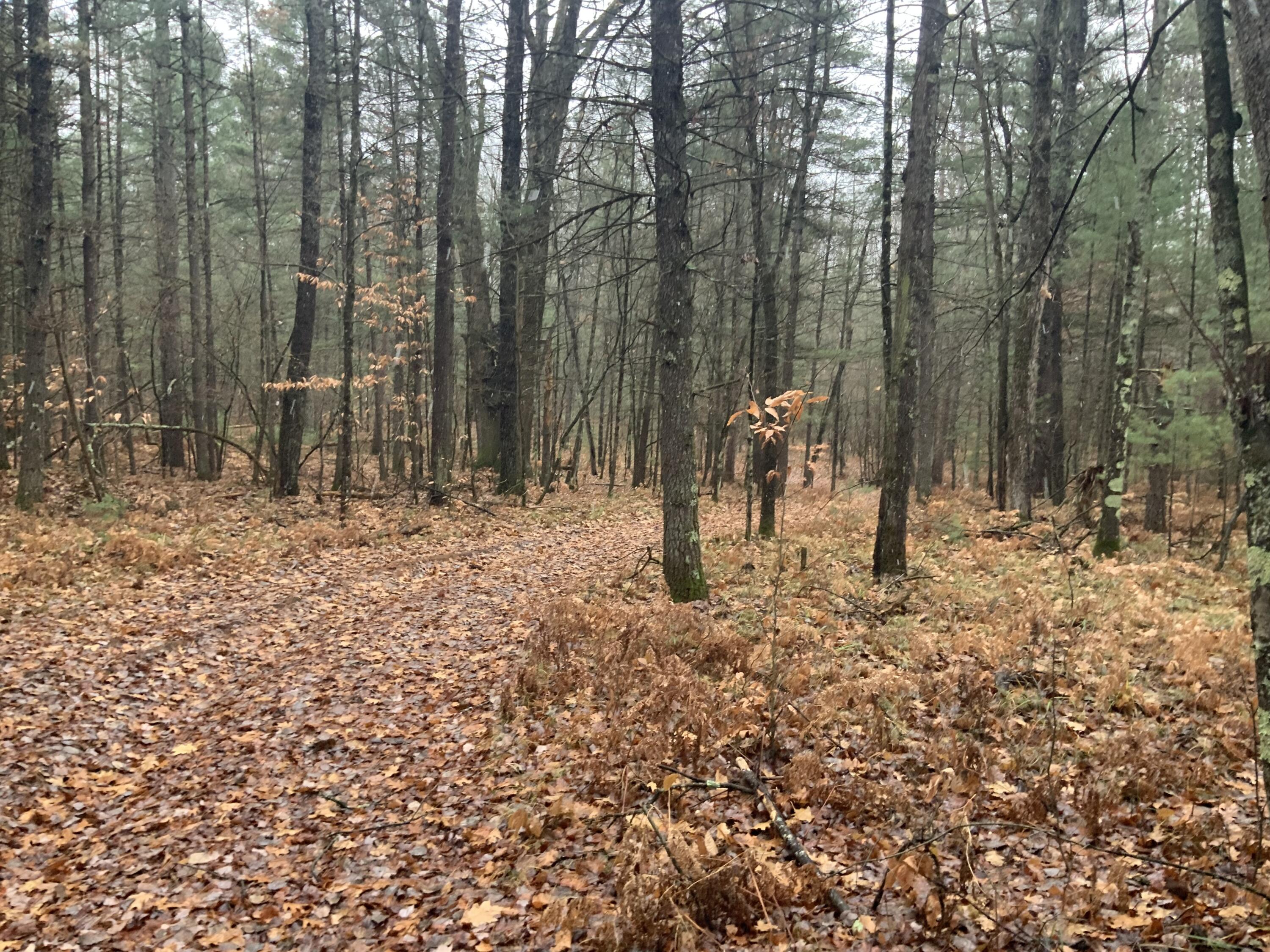 8387 East 7 Mile Road Luther, MI 49656 - Photo 30 of 49 IMG_2474