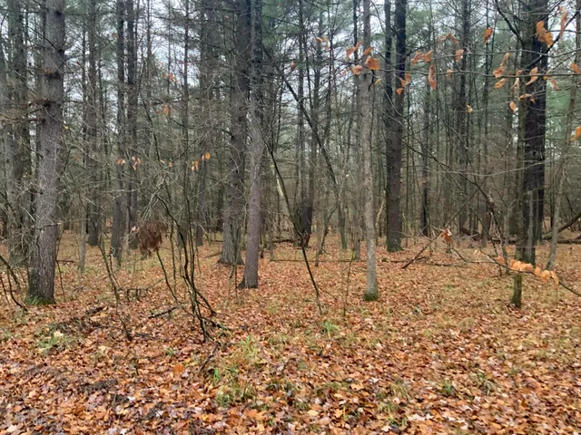 $127,900 | 8387 East 7 Mile Road, Luther, MI 49656