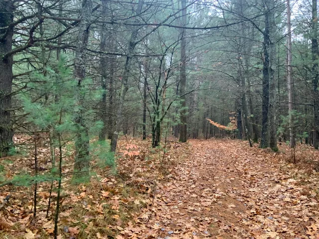 $127,900 | 8387 East 7 Mile Road, Luther, MI 49656