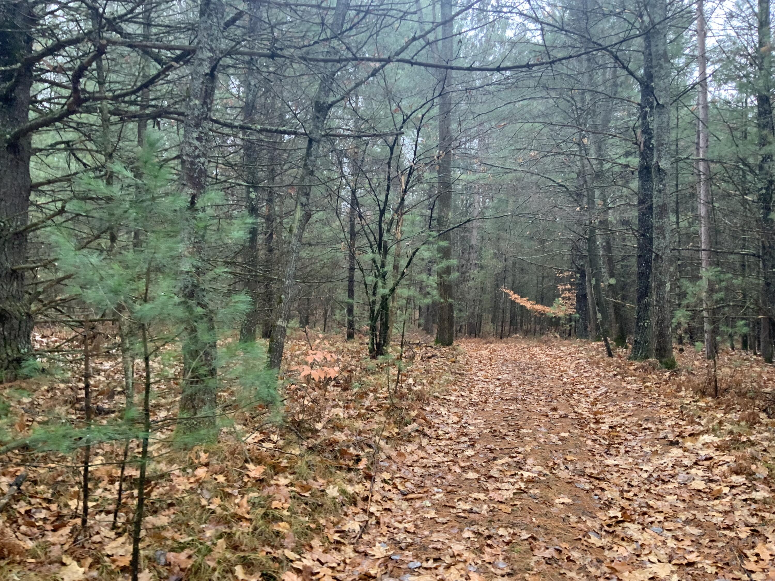 8387 East 7 Mile Road Luther, MI 49656 - Photo 32 of 49 IMG_2470