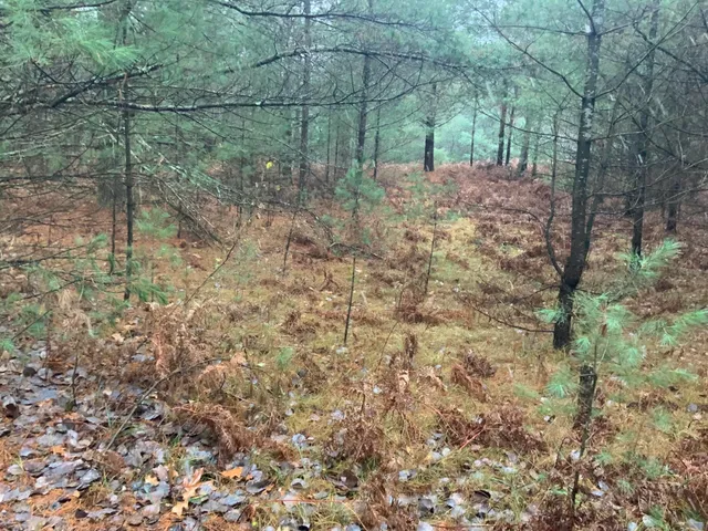 $127,900 | 8387 East 7 Mile Road, Luther, MI 49656