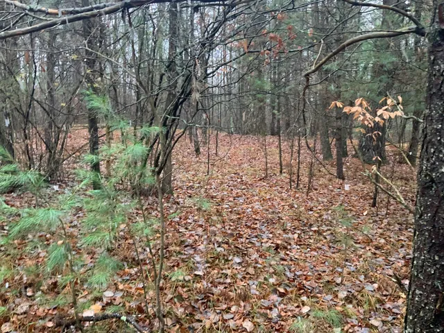 $127,900 | 8387 East 7 Mile Road, Luther, MI 49656