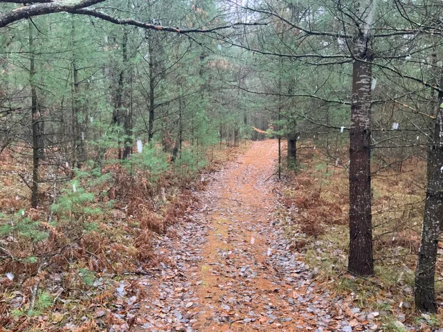 $127,900 | 8387 East 7 Mile Road, Luther, MI 49656