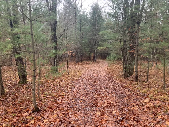 $127,900 | 8387 East 7 Mile Road, Luther, MI 49656