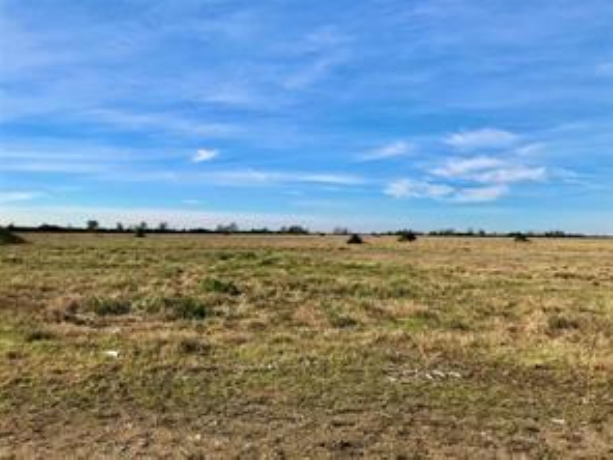 1297 McDonald Road Eagle Lake, TX 77434 - Photo 7 of 10 a view of an ocean