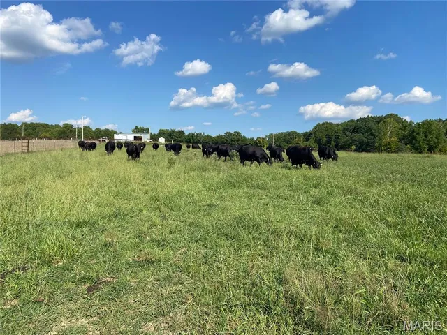 $1,150,000 | 16150 County Road 8390, Rolla, MO 65401