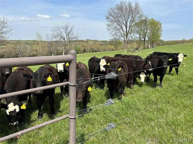 $1,150,000 | 16150 County Road 8390, Rolla, MO 65401