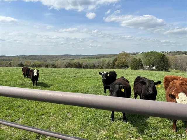 $1,150,000 | 16150 County Road 8390, Rolla, MO 65401