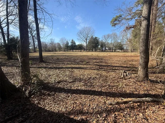 a view of a yard with large trees