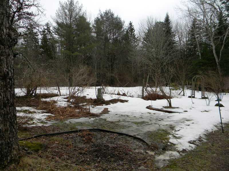 115 Beechland Road Ellsworth, ME 04605 - Photo 33 of 34 Yard/Garden.