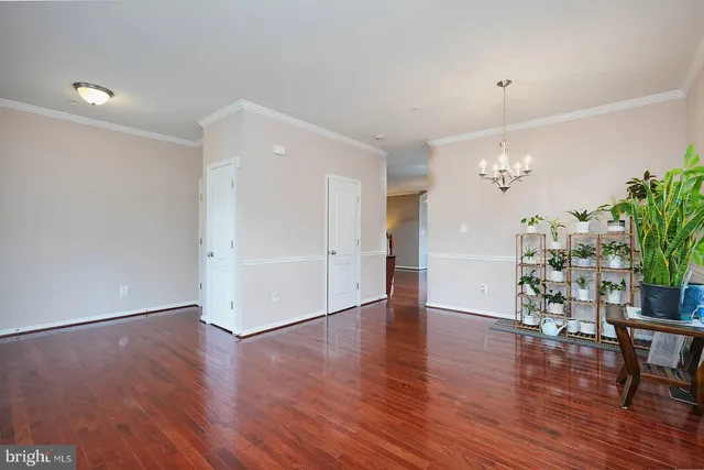 a view of a room with wooden floor and potted plant