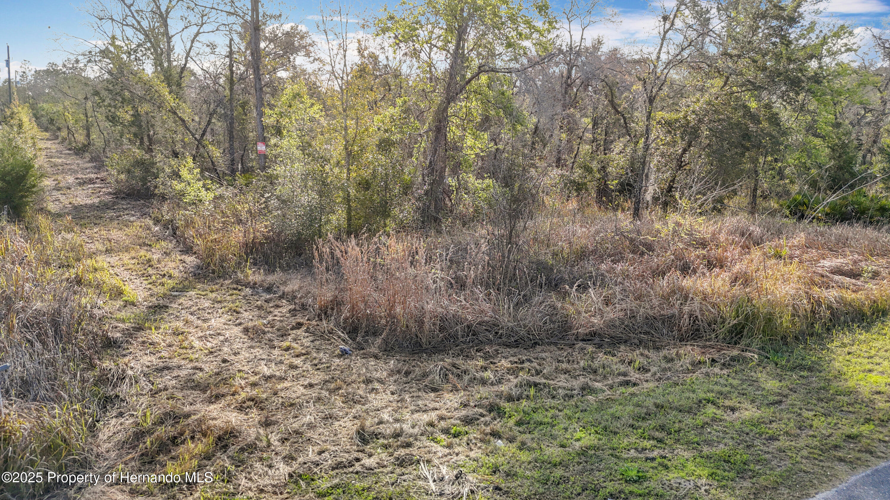 0 Maripoe Road Weeki Wachee, FL 34614 - Photo 22 of 39