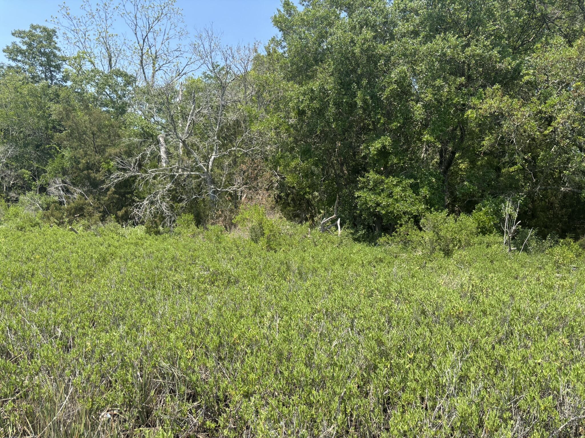 2035 Sol Legare Road Charleston, SC 29412 - Photo 3 of 26 IMG_2289