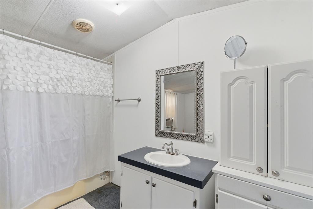 144 Oak Meadows Drive Springtown, TX 76082 - Photo 8 of 24 a bathroom with a sink vanity and a mirror