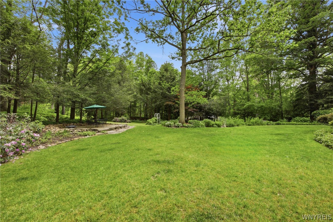 9665 New Oregon Road Eden, NY 14057 - Photo 44 of 48