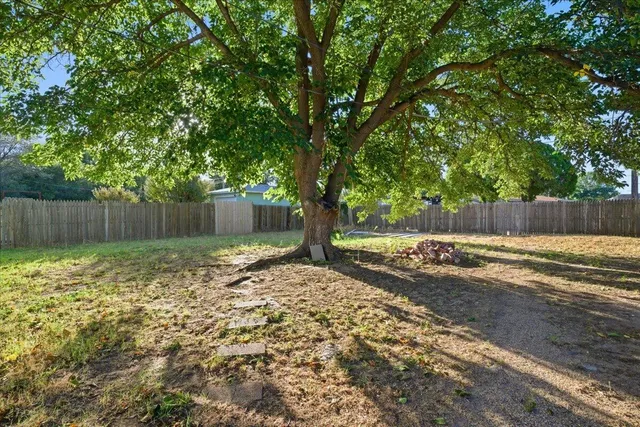 a view of a backyard with tree