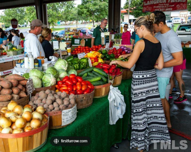 127 Dunloe Loop Raleigh, NC 27603 - Photo 37 of 37