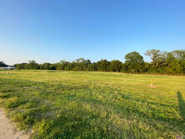 $176,000 | Lot 30 Buddy Gore Road, Gonzales, LA 70737