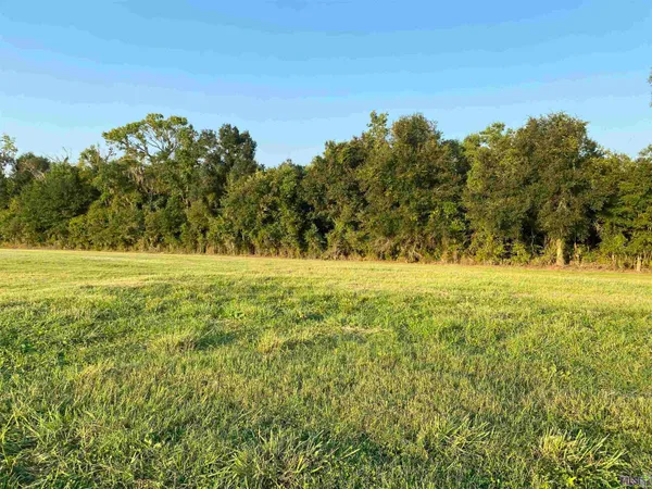 $176,000 | Lot 30 Buddy Gore Road, Gonzales, LA 70737