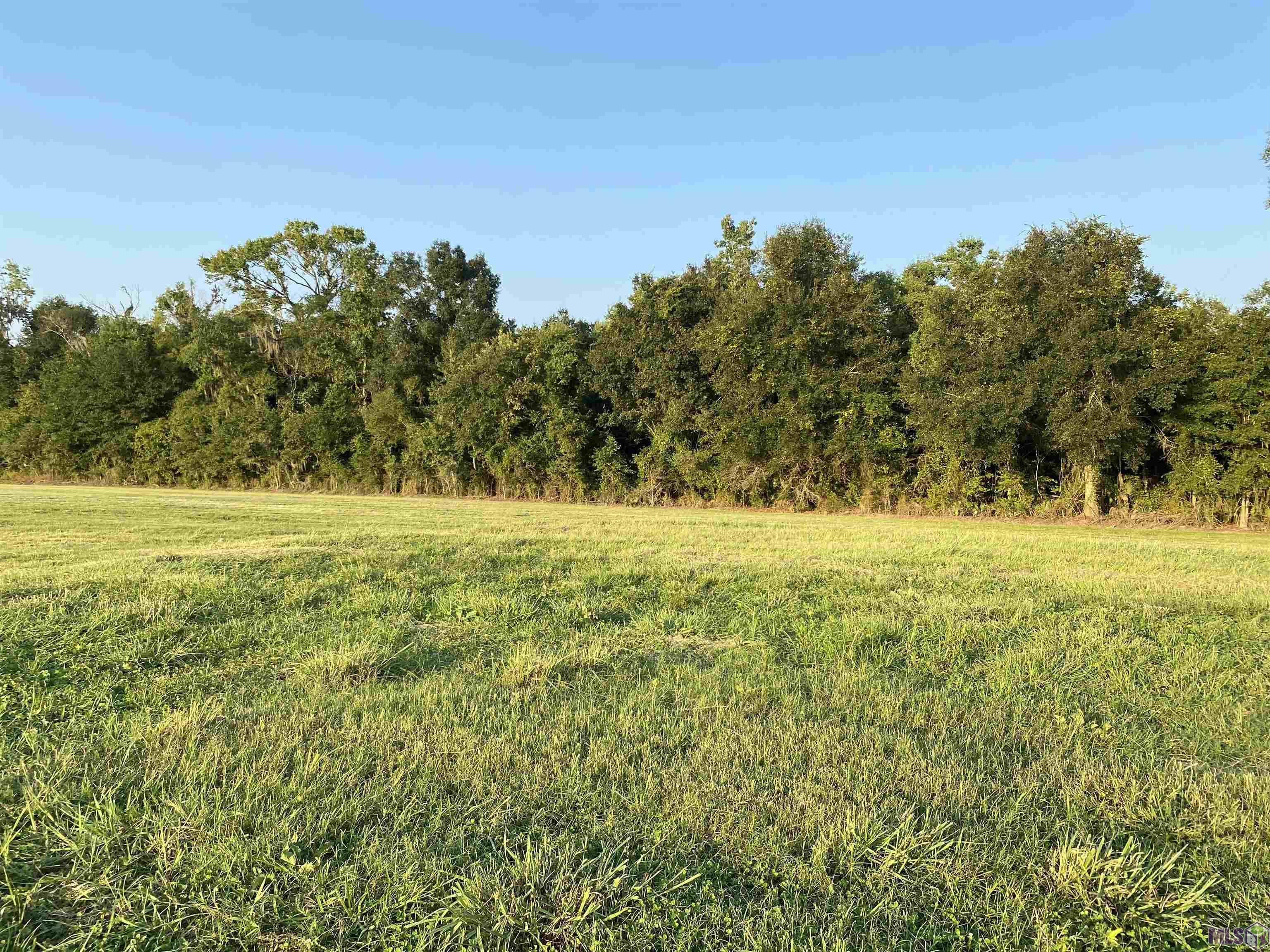 Lot 30 Buddy Gore Road Gonzales, LA 70737 - Photo 2 of 6