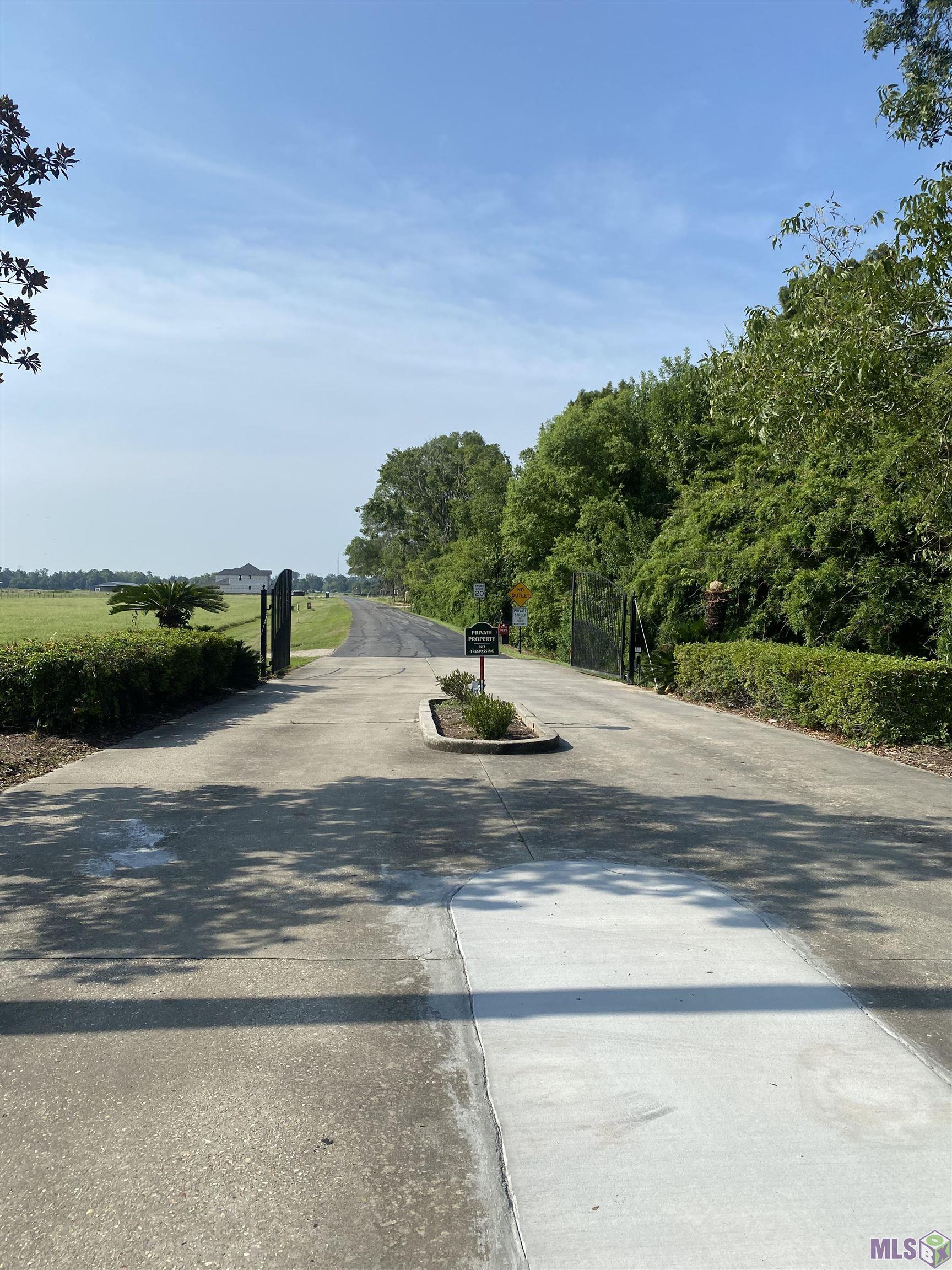 Lot 30 Buddy Gore Road Gonzales, LA 70737 - Photo 3 of 6