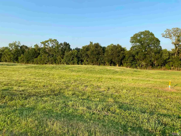 $176,000 | Lot 30 Buddy Gore Road, Gonzales, LA 70737