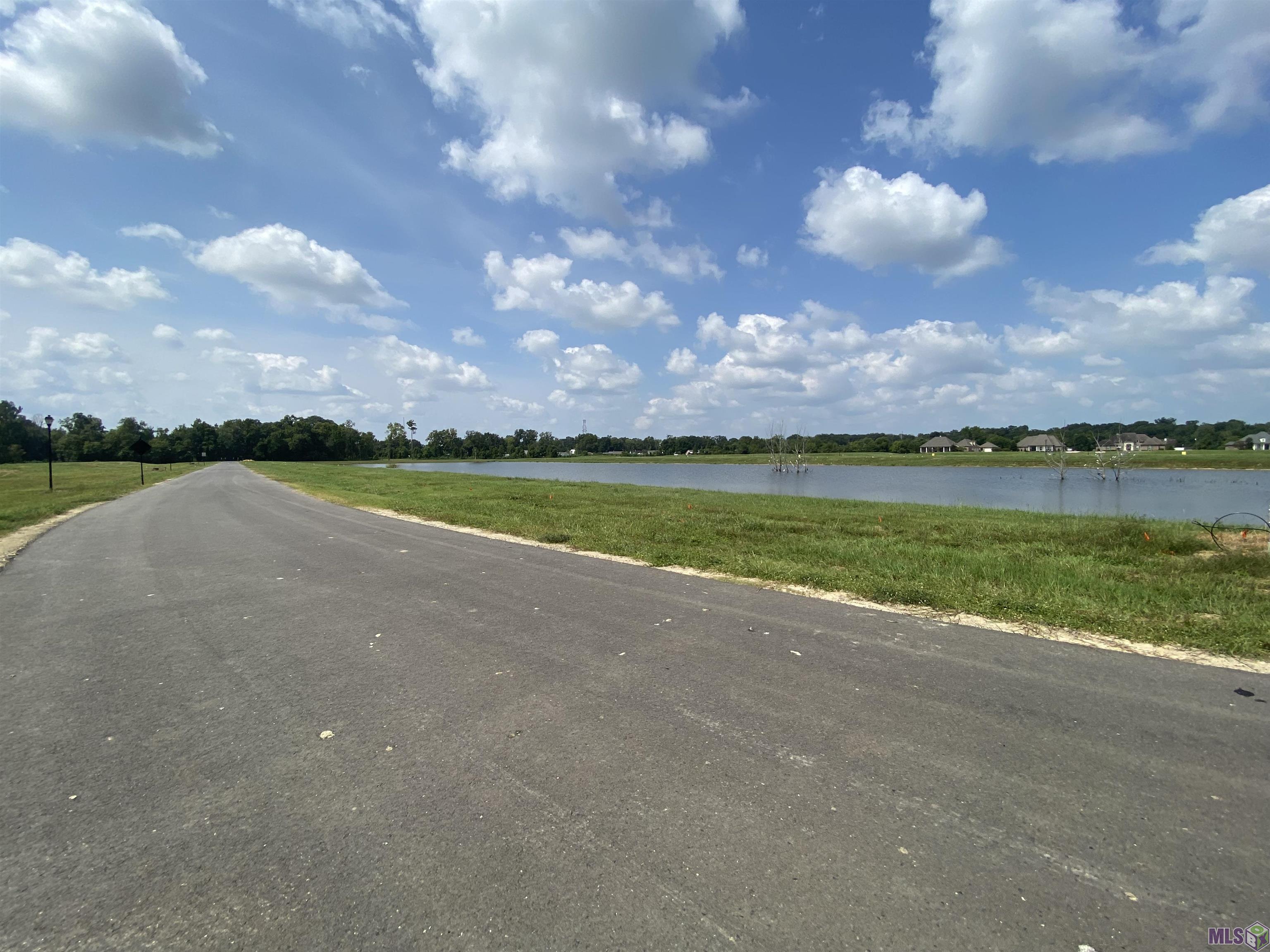 Lot 30 Buddy Gore Road Gonzales, LA 70737 - Photo 5 of 6